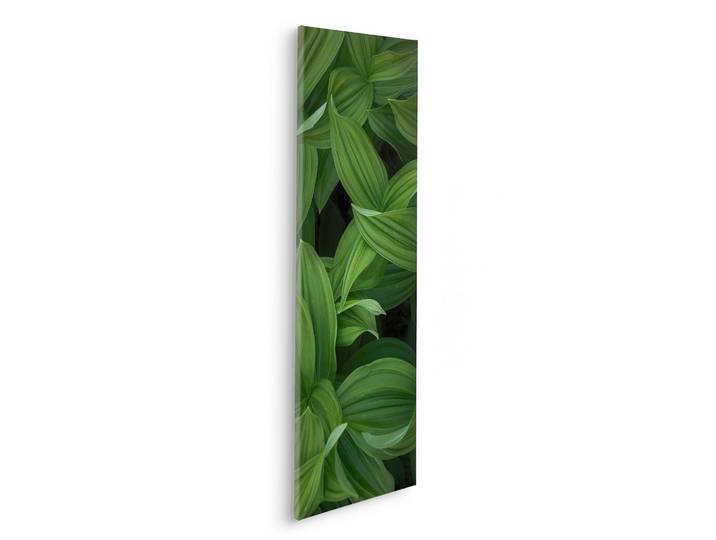 Leinwandbild KOMAR Ancilla - Grösse 30 x 90 cm , grün (farbe bild(er): grün, schwarz), B:30cm, Massivholz, Papier, Bilder, Leinwandbild, Keilrahmenbild mi Echtholzrahmen