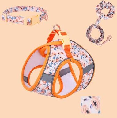 Inspired Living CozyStep Adjustable Small Dog Harness And Leash Set orange 3 piece Set