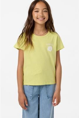 O'Neill s Heritage Daisy Oversized T-Shirt in Celery, Size Small