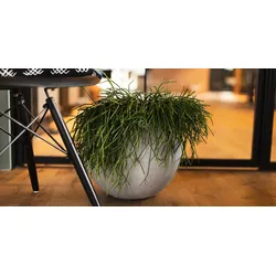 Restberry ́s plant pot Aada ø 30 cm
