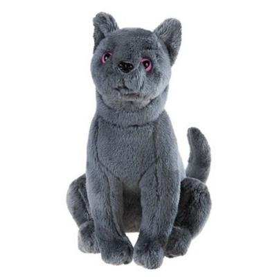 Schule der magischen Tiere Kater Karajan GRS klein