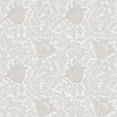A-Street Prints Anemone Dove Floral Trail Wallpaper