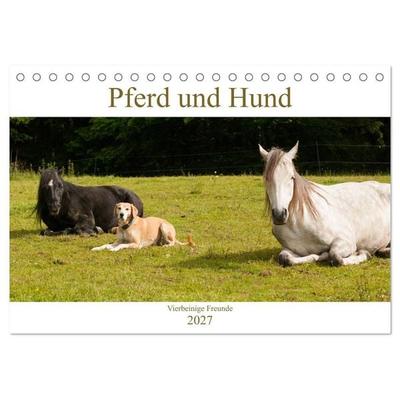 Pferd und Hund - Vierbeinige Freunde (Tischkalender 2027 DIN A5 quer), CALVENDO Monatskalender