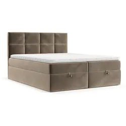 BOXBETT Velto 180/200 cm Taupe im Paros Stoff