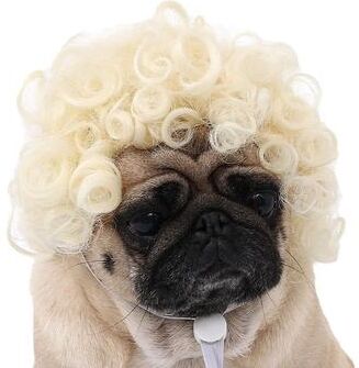 Uplift Treasures Funny Pet Wig Costume Accessory a large