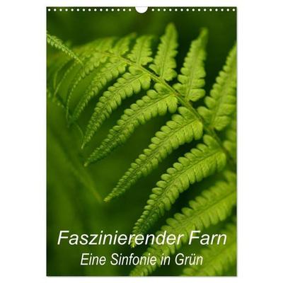 Faszinierender Farn - Eine Sinfonie in Grün (Wandkalender 2027 DIN A3 hoch), CALVENDO Monatskalender