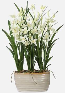 Uttermost Ariana Orchid Planter