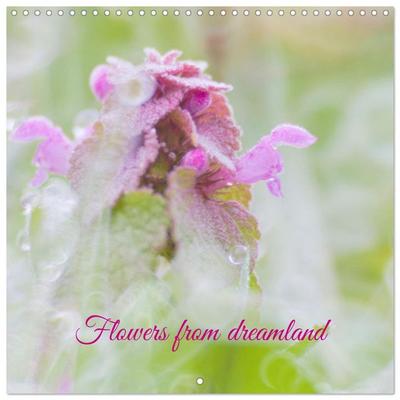 Flowers from dreamland (Wall Calendar 2026 12 × 12 Inch) CALVENDO 12 Month Wall Calendar