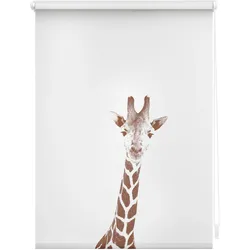 Lichtblick Rollo Klemmfix, ohne Bohren, blickdicht, Giraffe - Braun