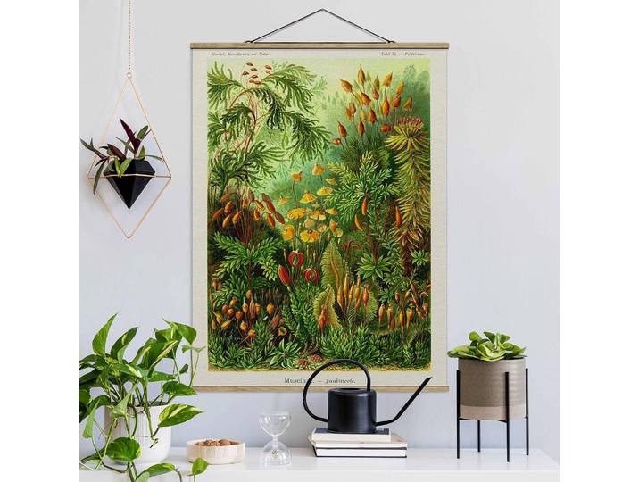 Tableau déco Vintage Botanique Mousse Tissu Vert 80 x 107cm