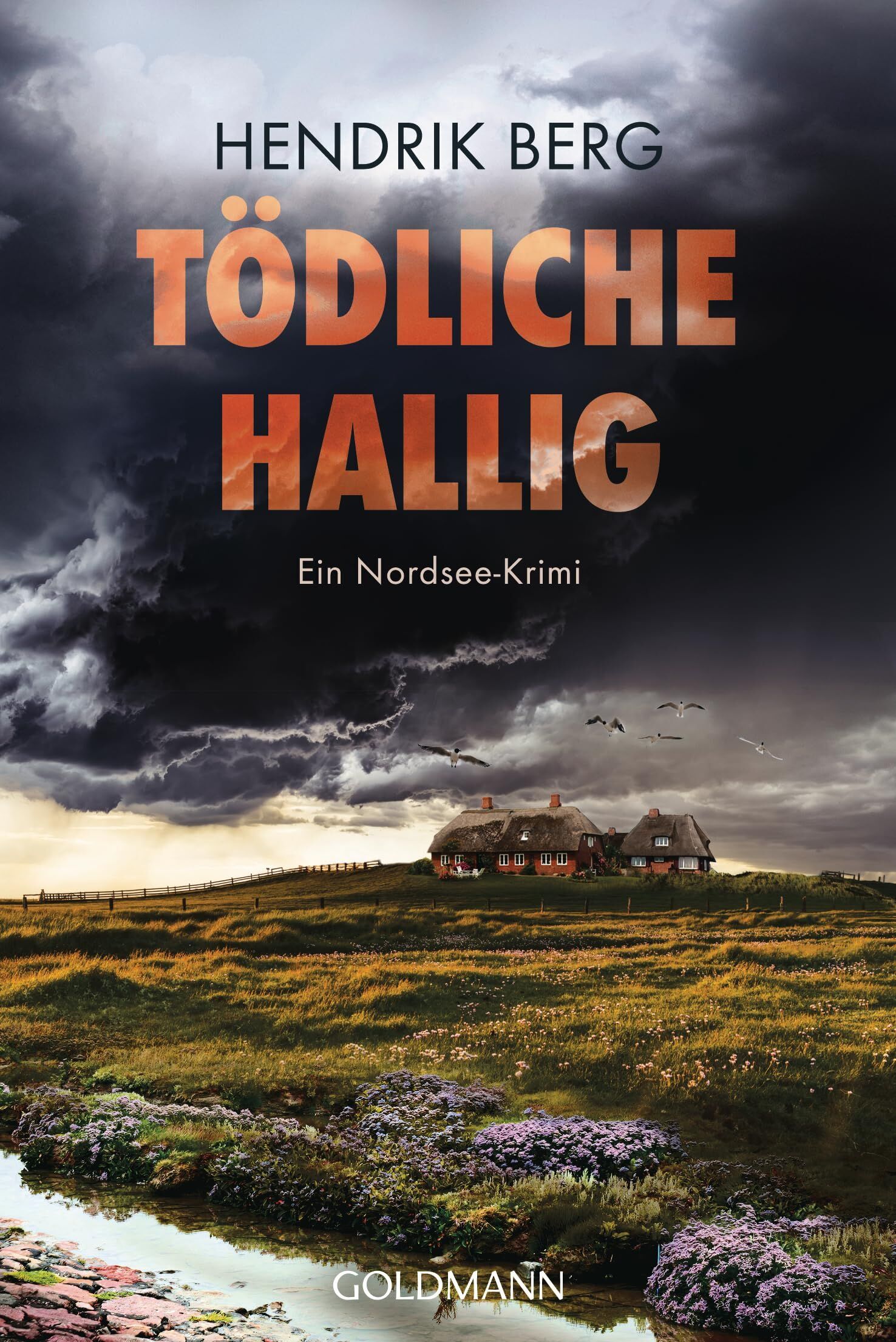 Hendrik Berg - Tödliche Hallig - Preis vom 17.10.2026 19:25:27 h