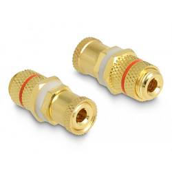 Delock 64145 64145 Verbinder Audio Adapter [1x Polklemme - 1x Polklemme] Gold
