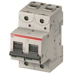 ABB 2CCS862001R0065 S802S-B6 Sicherung 2polig