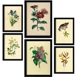 POSTER Set Mit 6 Dunkle Blumen In Vintage A3 & A4 Weißer Rahmen