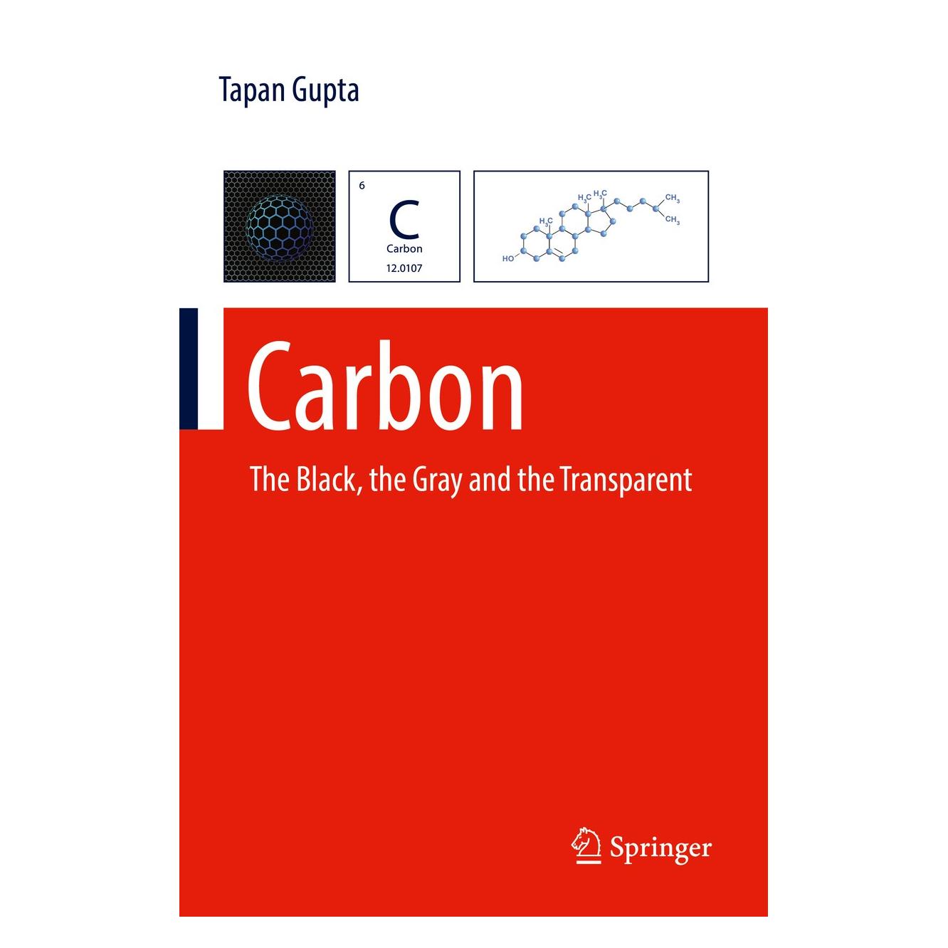Springer Gupta:Carbon (Englisch, Hardcover, Tapan Gupta) (9783319664040)