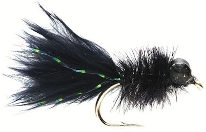 Fulling Mill Alley Cat 10