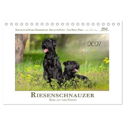 Riesenschnauzer - Herz auf vier Pfoten (Tischkalender 2027 DIN A5 quer), CALVENDO Monatskalender