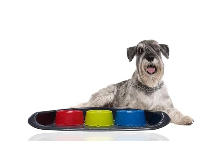 Rohrschneider Futterstation Hund/Katze