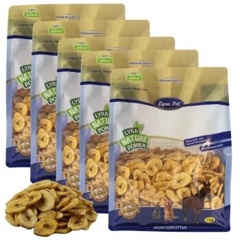 Lyra Pet Bananen getrocknet 5 kg