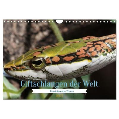 Giftschlangen der Welt (Wandkalender 2027 DIN A4 quer), CALVENDO Monatskalender