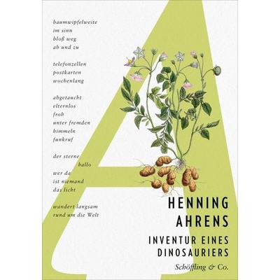 Inventur eines Dinosauriers, Gebundene Ausgabe von Henning Ahrens, Schöffling, 978-3-690-97027-3