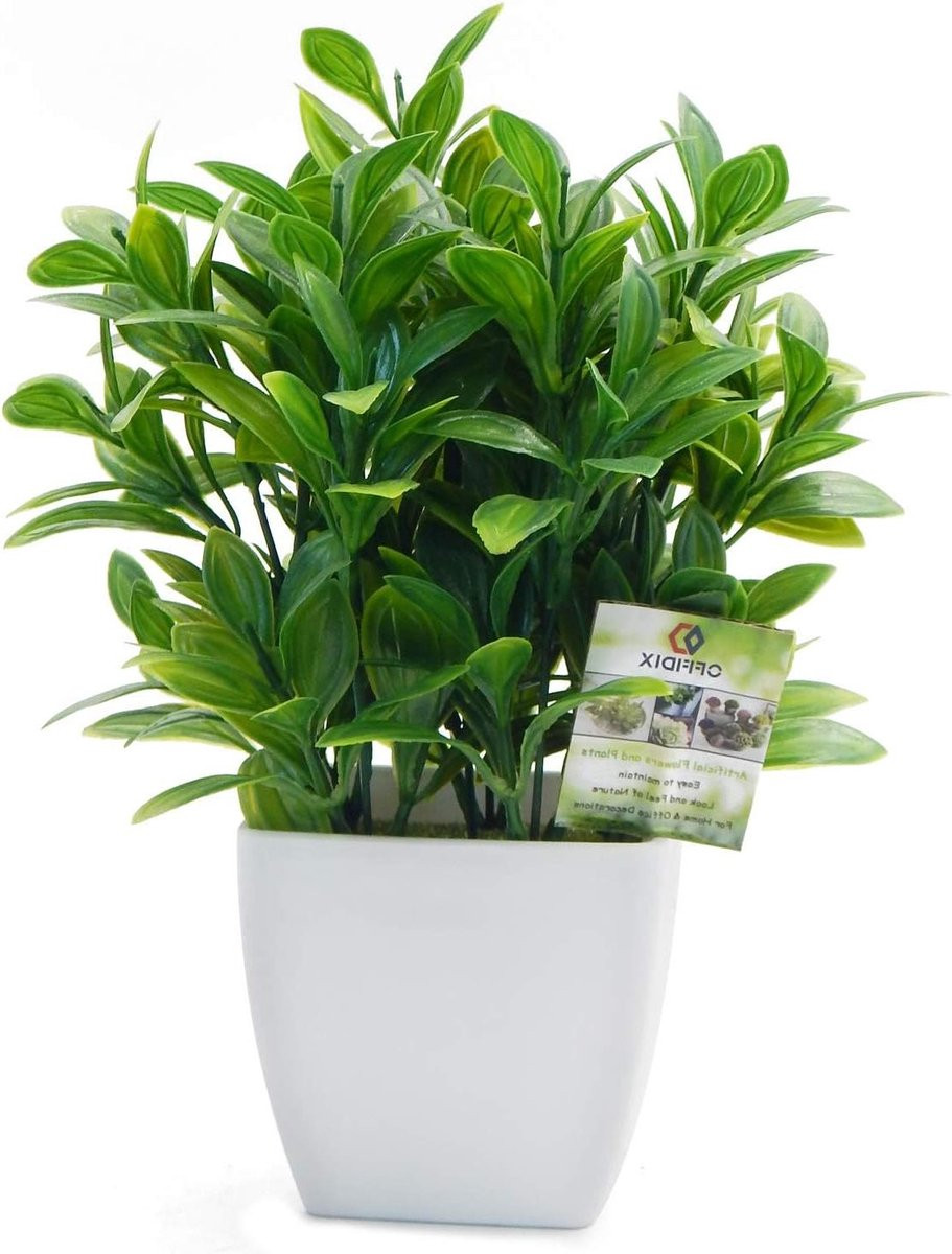 Silvester Eucalyptus Kunstplant in Pot - Groen