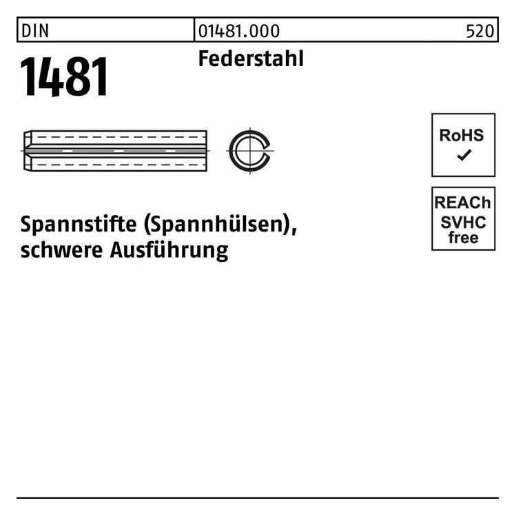 Spannstift DIN 1481 10 x 160 Federstahl schwere Ausführung DIN 1481 (014810009100160)