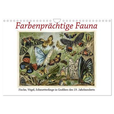 Farbenprächtige Fauna. Fische, Vögel, Schmetterlinge in Grafiken des 19 Jahrhunderts (Wandkalender 2026 DIN A4 quer), CALVENDO Monatskalender