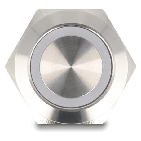 Delock Drucktaster zum Einbau 19 mm 4 x Schraubklemme LED bl (20980)