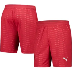 Puma, Herren, Sporthose, FPF Shorts Replica (S), Rot