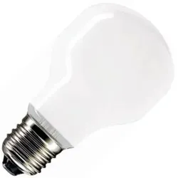 Glühlampe | Große Fassung E27 | Standardlampe | Matt | 55mm | 75W