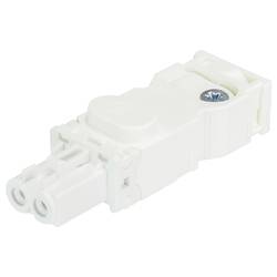 Wieland Electric 91.921.2053.0 Steckverbinder