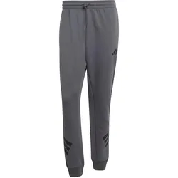 Adidas, Herren, Sporthose, Future Icons 3-Stripes Pants (XL), Grau