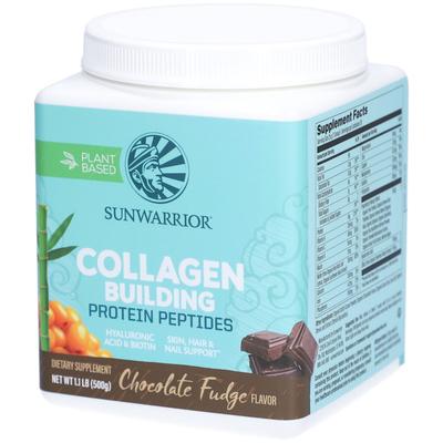 Collagen Building Protein Peptides Chocolate Fude 500 g Pulver