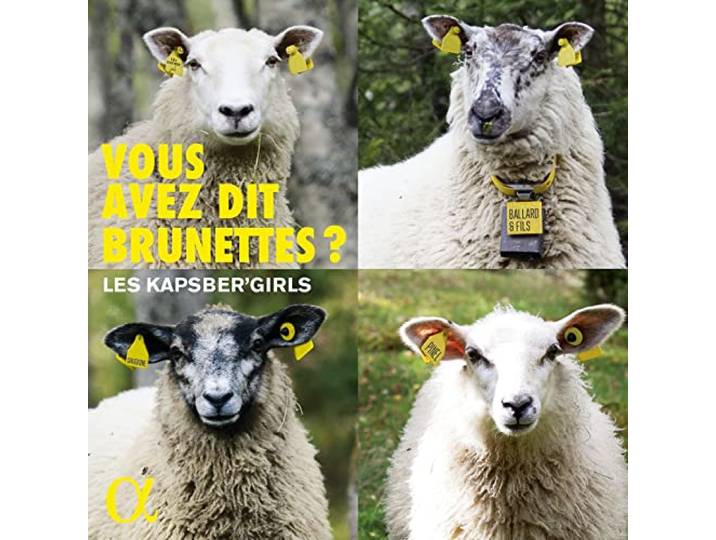 Vous Avez Dit Brunettes?