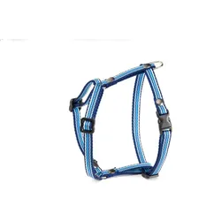 Martin Sellier Katzengeschirr (One Size, Katze, Spazieren), Halsband + Leine