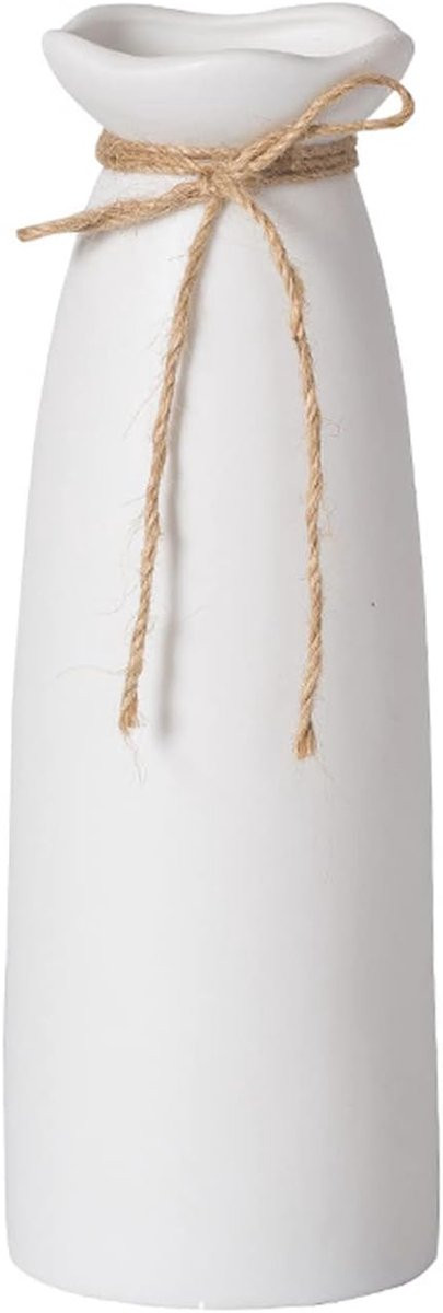 Witte Keramische Vaas Bloemenhouder voor Decoratie