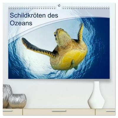 Schildkröten des Ozeans (hochwertiger Premium Wandkalender 2027 DIN A2 quer), Kunstdruck in Hochglanz