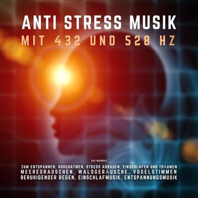 ANTI STRESS MUSIK mit 432 Hz und 528 Hz zum Entspannen, Durchatmen, Stress abbauen, Einschlafen und Träumen (XXL-Bundle) - Institut für