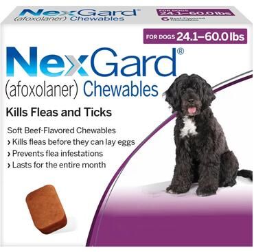 Credelio Nexgard Chewables For Large Dogs 24.1-60 Lbs (Purple) 68mg 6 Chews