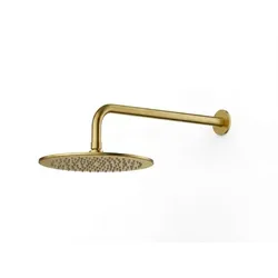 SAT Aurum Kopfbrause inklusive Duscharm Gebürstetes Gold SATBSHSBGSET