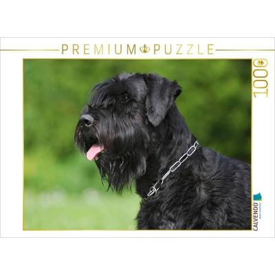 CALVENDO Puzzle Riesenschnauzer Porträt | 1000 Teile Lege-Größe 64x48cm Foto-Puzzle für glückliche Stunden