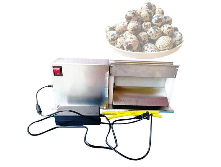 Machine à éplucher les œufs de caille électrique, en acier inoxydable, Machine à éplucher les œufs d'oiseaux