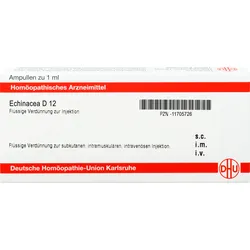 Echinacea D12 Ampullen 8 ML