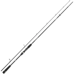 Daiwa Prorex S Spin 2.70m 5-30g Spinnrute