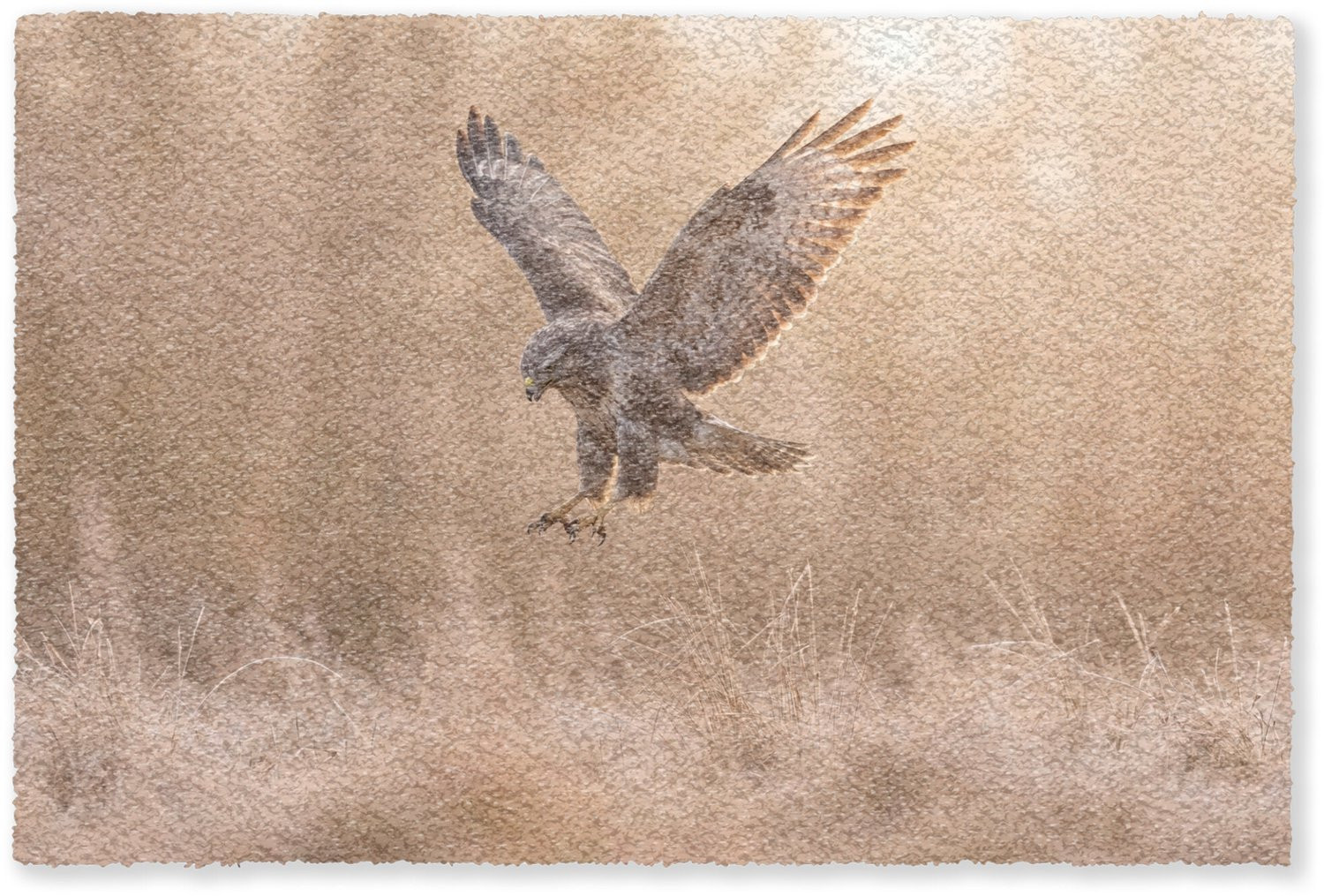 MuchoWow Deurmat Buizerd met Roofvogel Print - Natuur Bruin - B: 90 cm, D: 60 cm