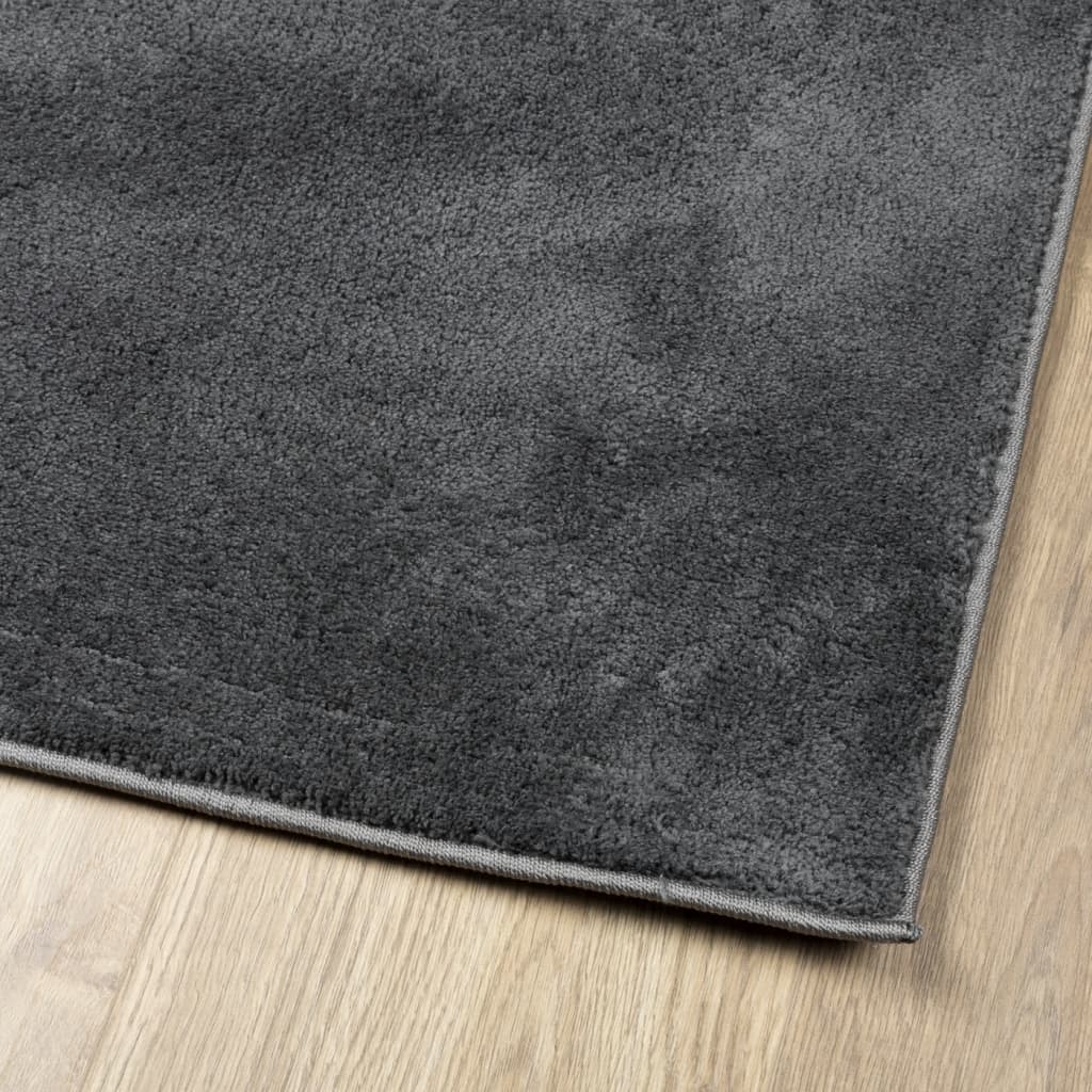 vidaXL Tapis OVIEDO à poils courts anthracite 160x230 cm