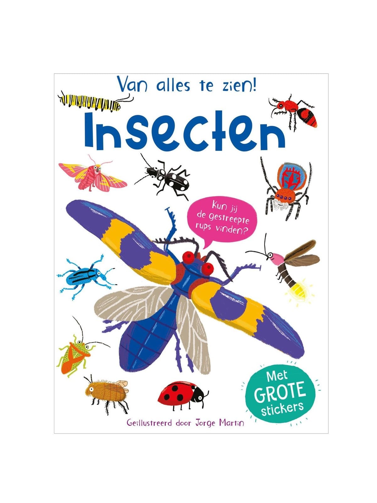 Rebo Publishers Insects - Everything to See!