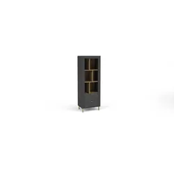 BÜCHERREGAL ZELOS 60/168,6/40 cm Wohnzimmerregal Hochschrank Regal Schwarz