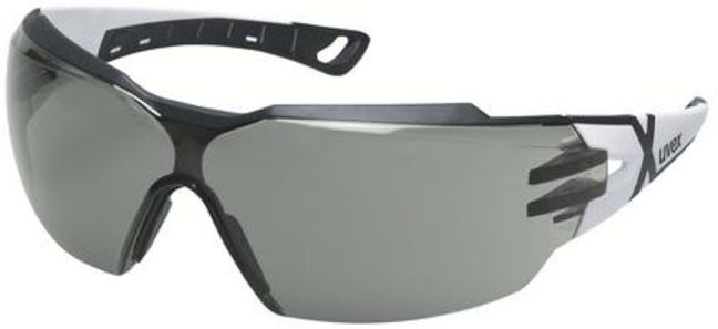 Uvex Pheos cx2 Komfort-Schutzbrille mit GREY-Scheibe, sonnenschutz (9198237)